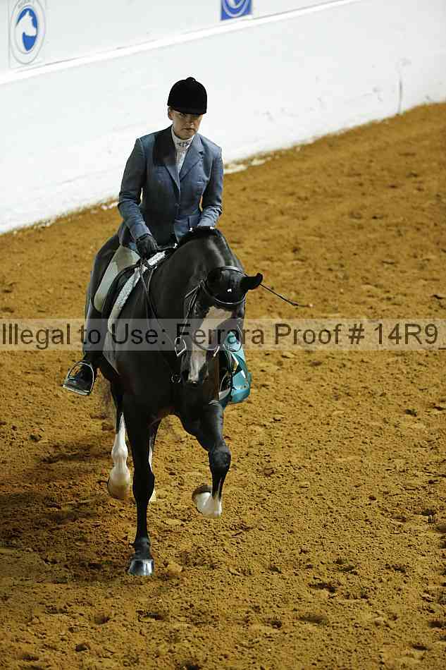 Proof Number 14r9_4072