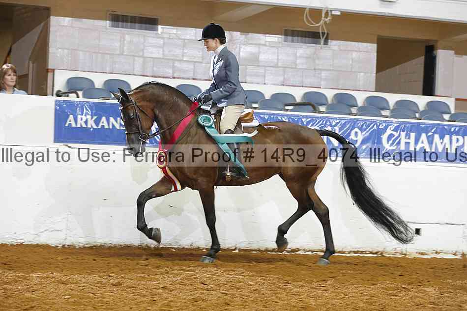 Proof Number 14r9_4074