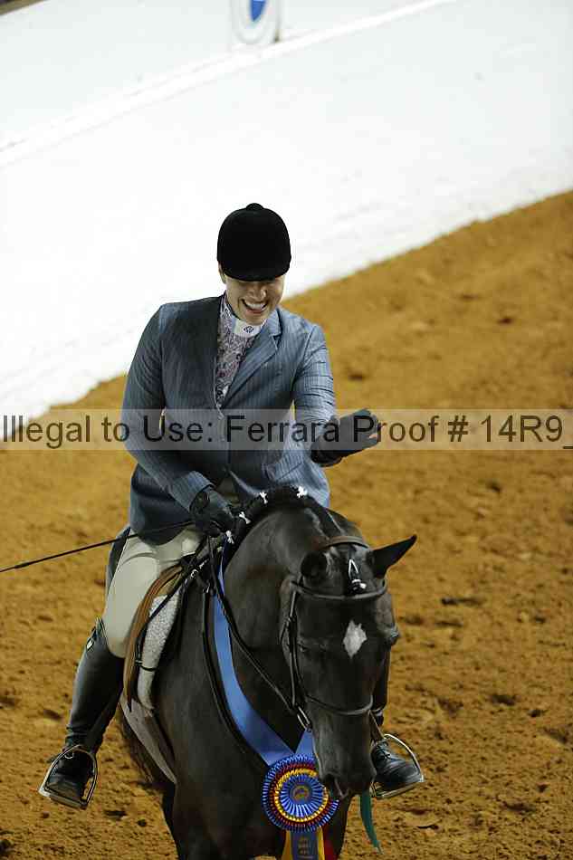 Proof Number 14r9_4081