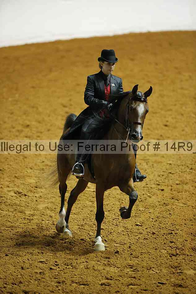 Proof Number 14r9_4096