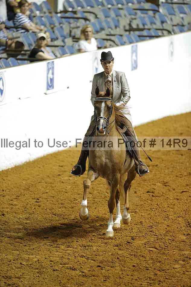 Proof Number 14r9_4100