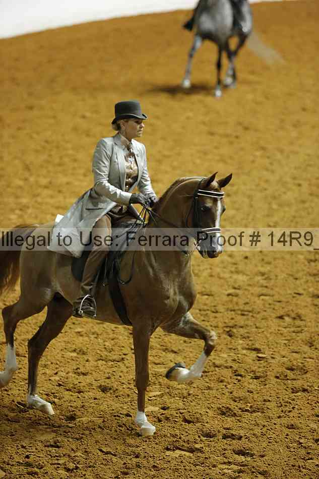 Proof Number 14r9_4102