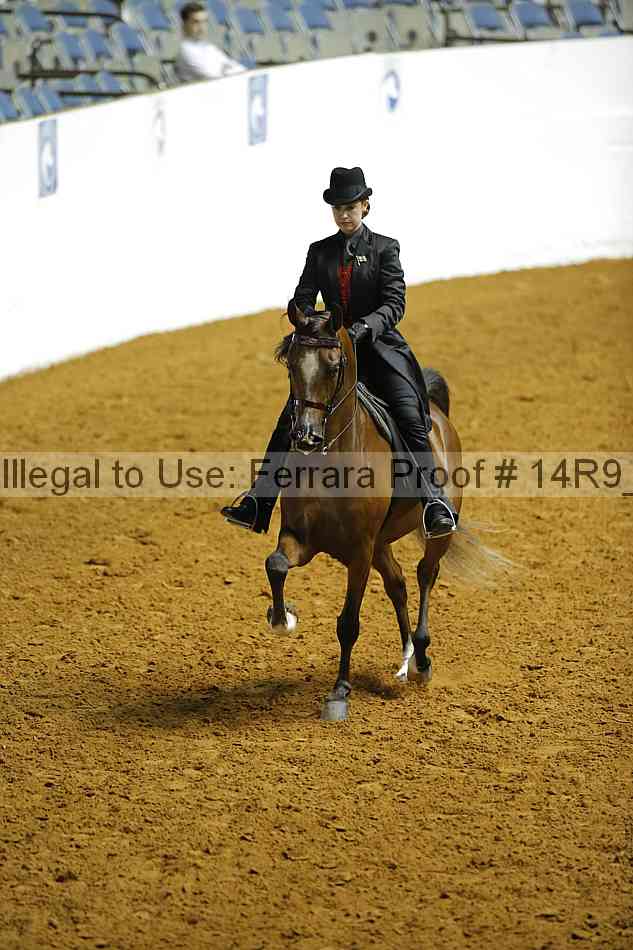 Proof Number 14r9_4122