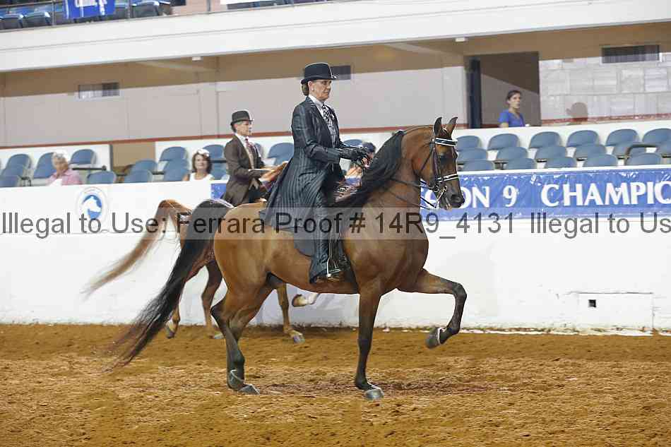 Proof Number 14r9_4131
