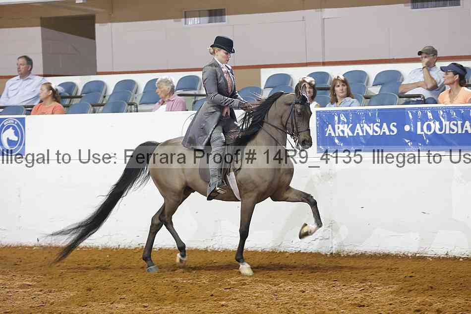 Proof Number 14r9_4135