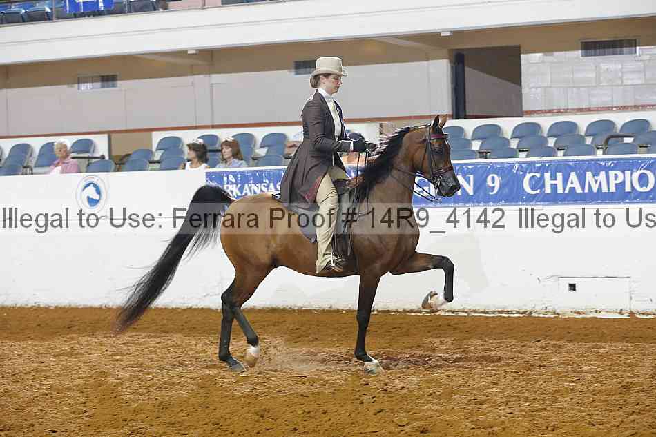 Proof Number 14r9_4142