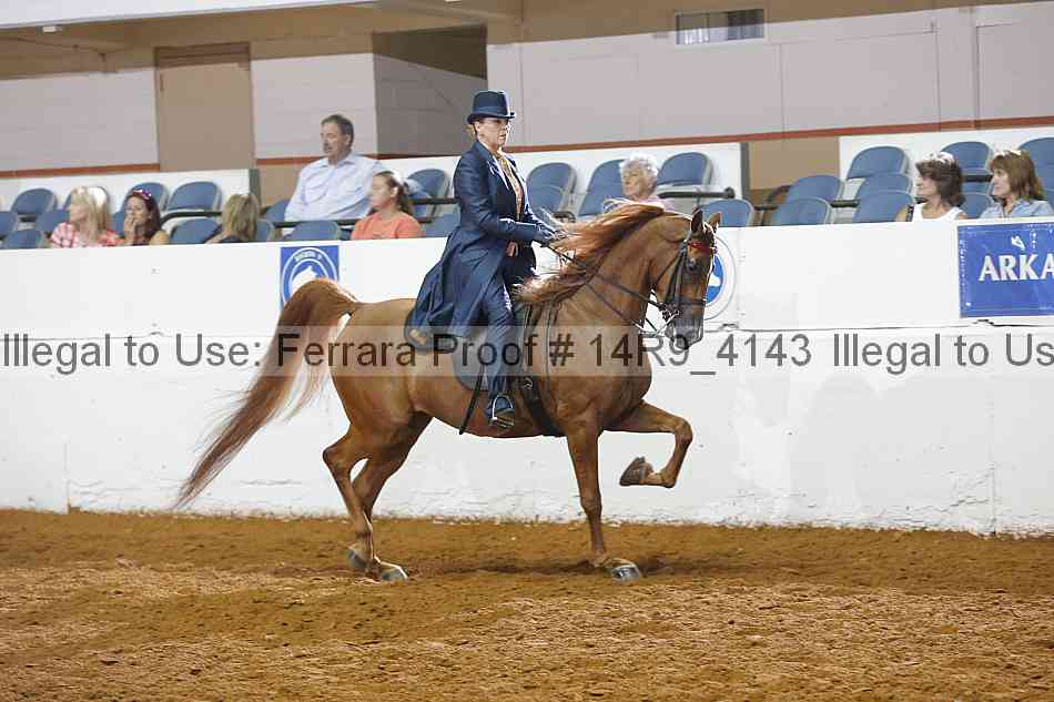 Proof Number 14r9_4143