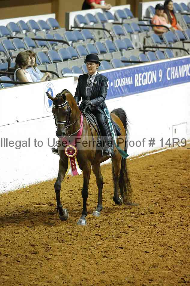 Proof Number 14r9_4152