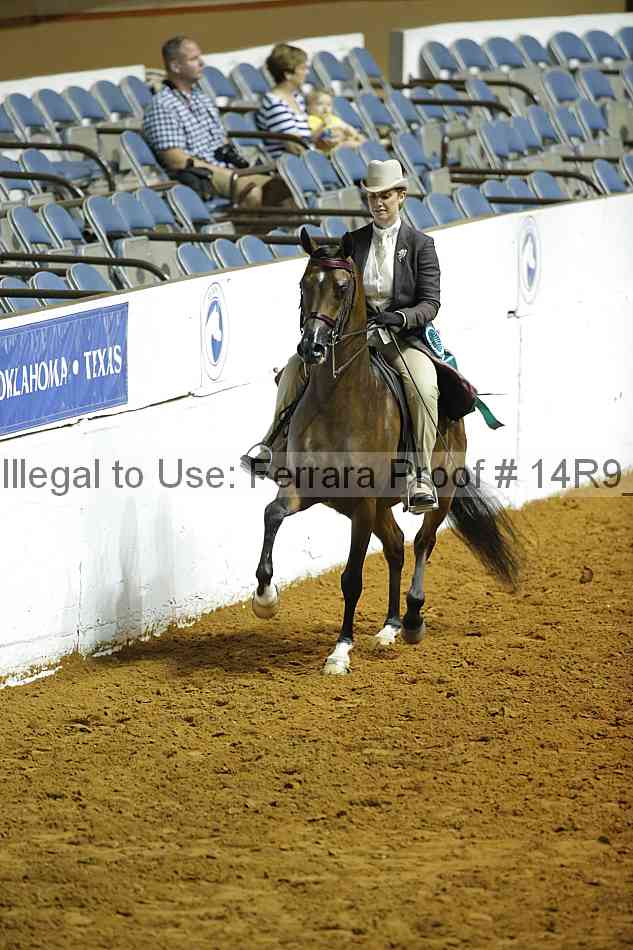 Proof Number 14r9_4166