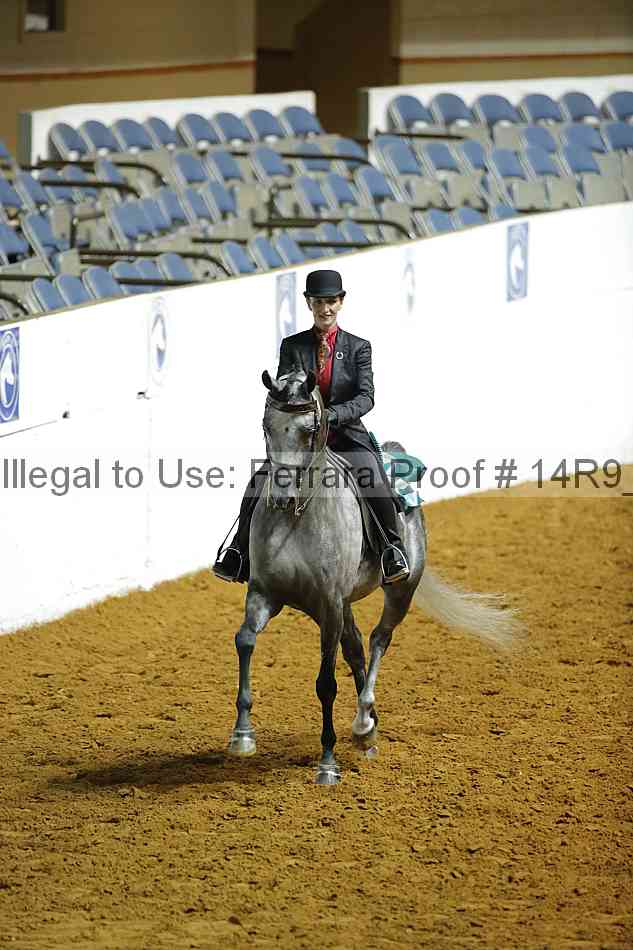 Proof Number 14r9_4169