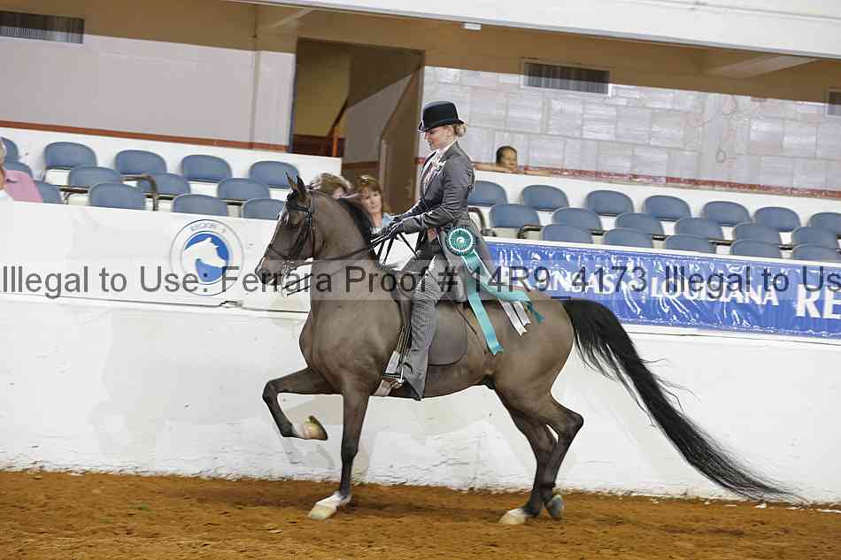 Proof Number 14r9_4173