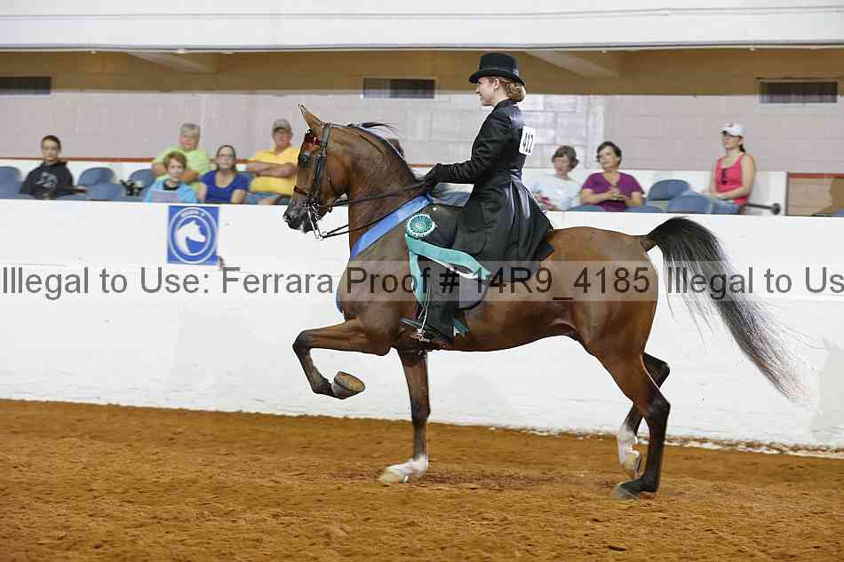 Proof Number 14r9_4185
