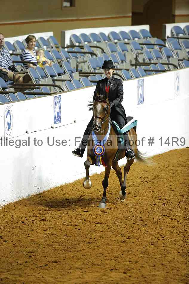 Proof Number 14r9_4186