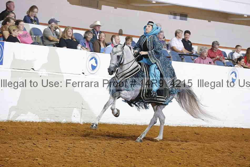 Proof Number 14r9_4215