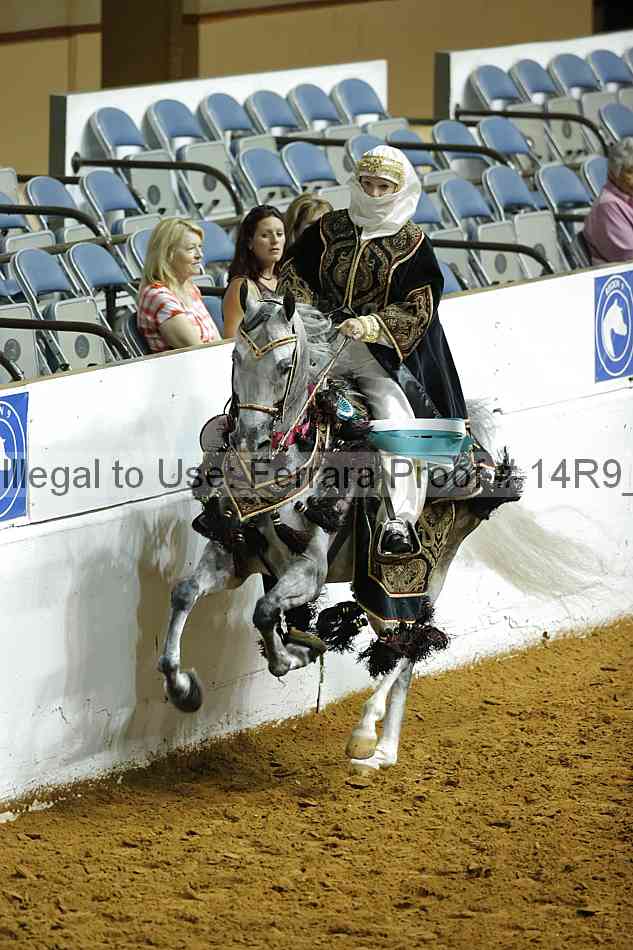 Proof Number 14r9_4251