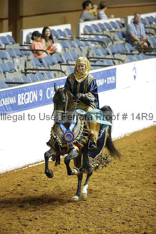 Proof Number 14r9_4255