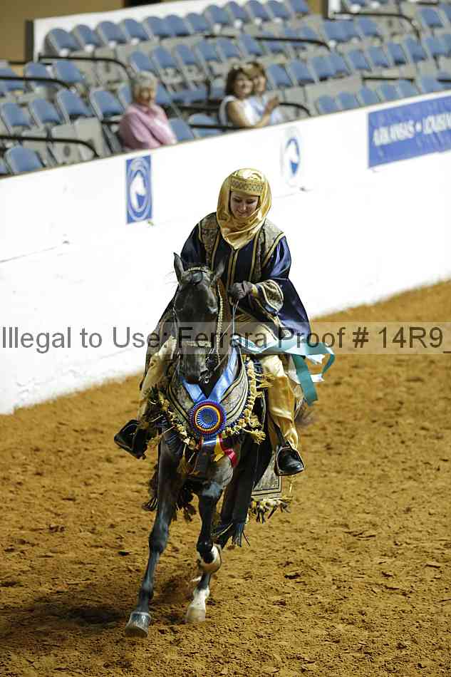 Proof Number 14r9_4256
