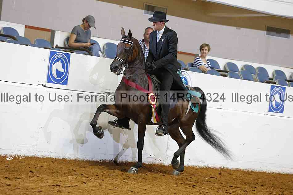 Proof Number 14r9_4324