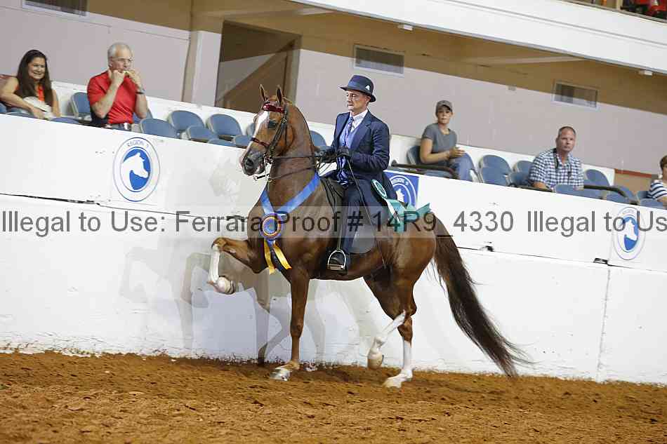 Proof Number 14r9_4330