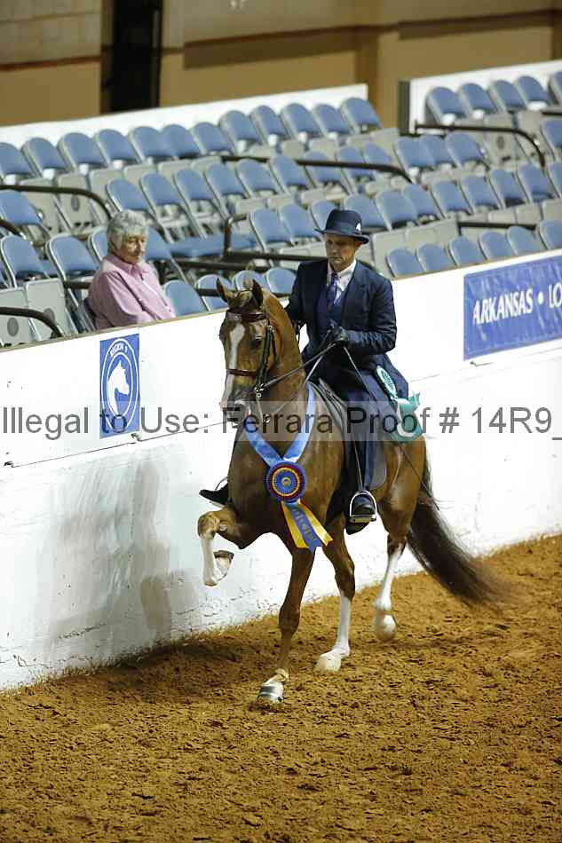 Proof Number 14r9_4332