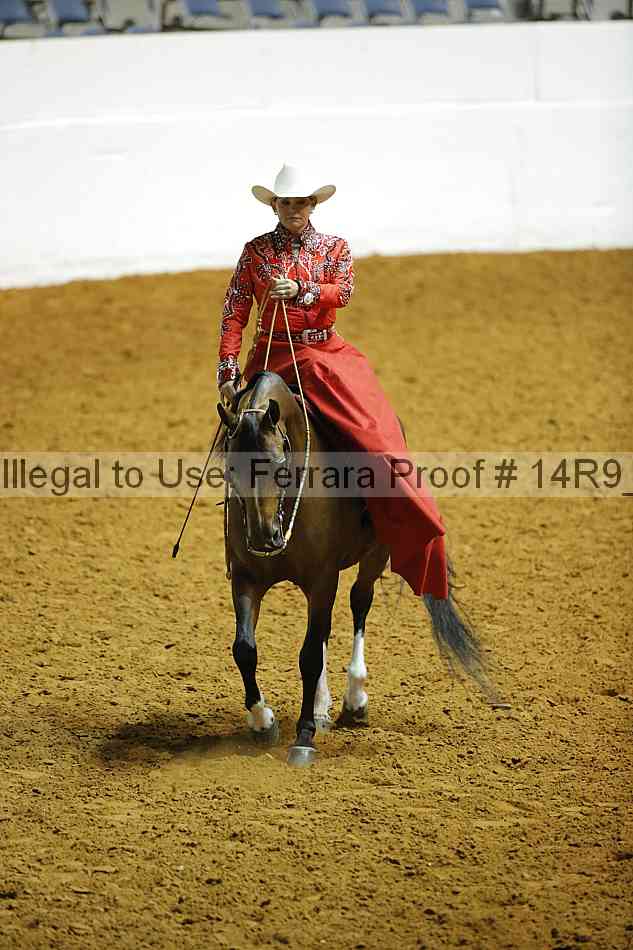 Proof Number 14r9_4341