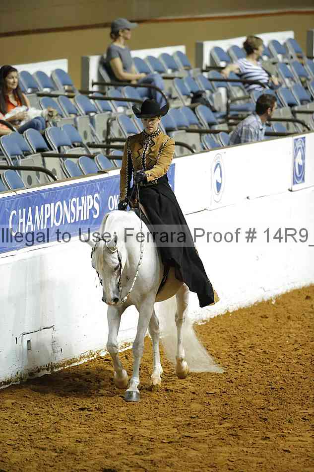 Proof Number 14r9_4343