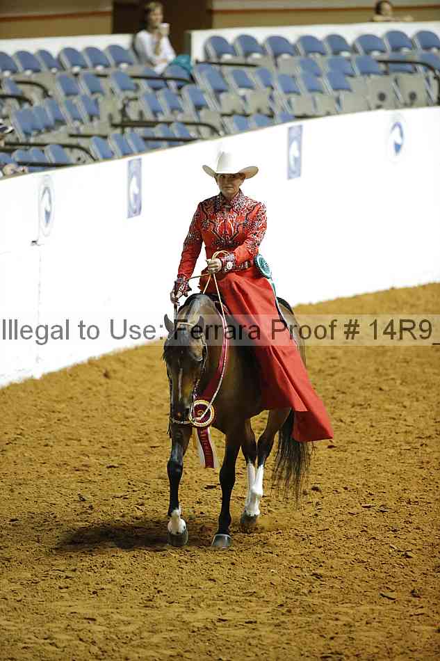 Proof Number 14r9_4378