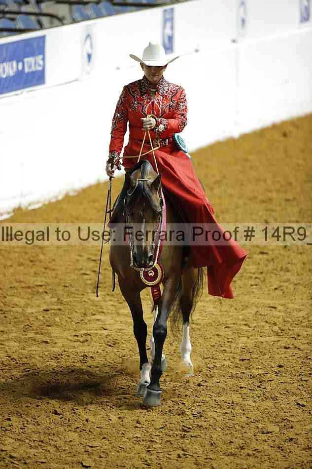 Proof Number 14r9_4380