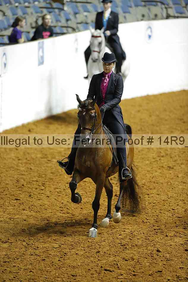 Proof Number 14r9_4441