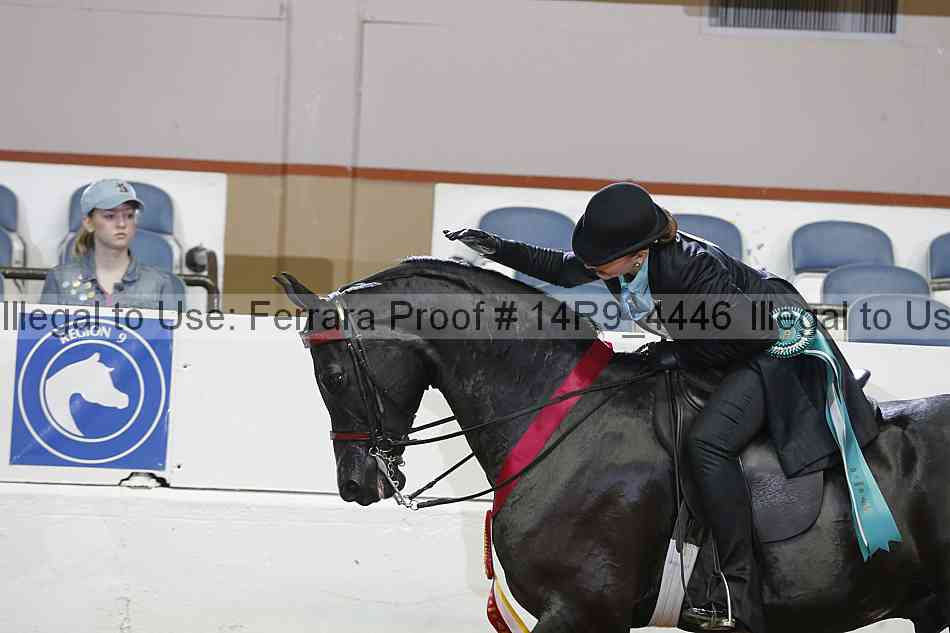 Proof Number 14r9_4446