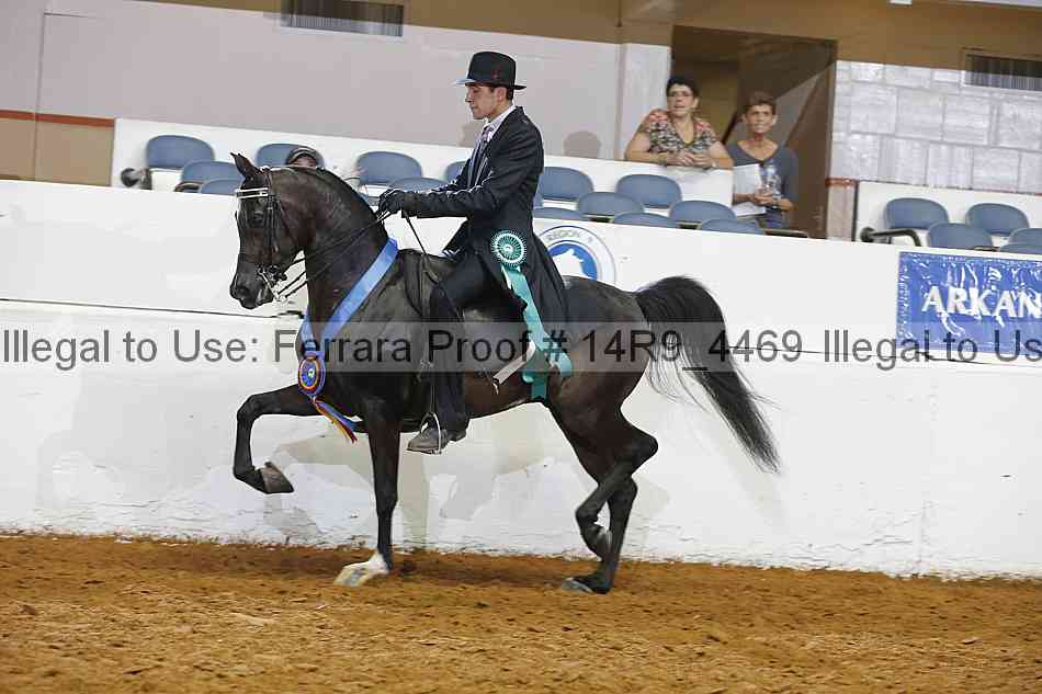 Proof Number 14r9_4469