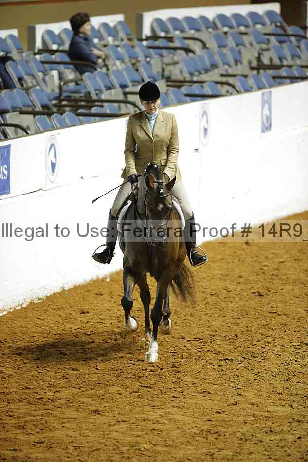 Proof Number 14r9_4515
