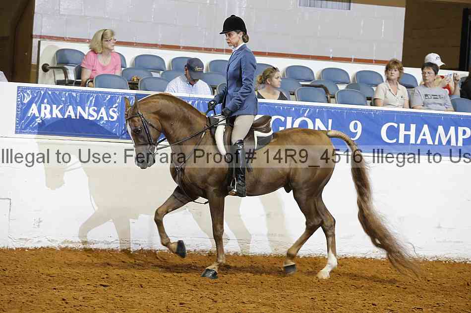 Proof Number 14r9_4516