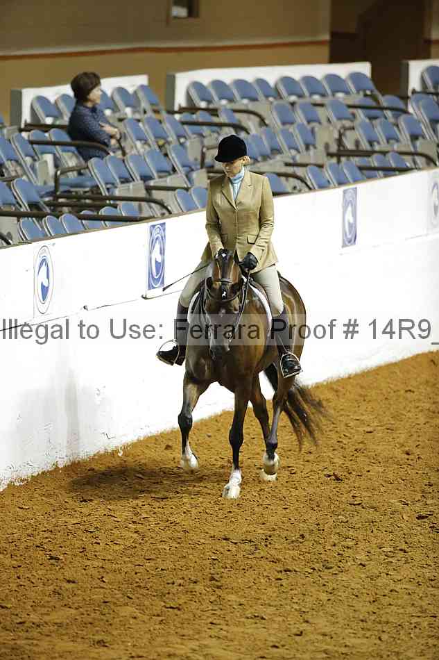 Proof Number 14r9_4527