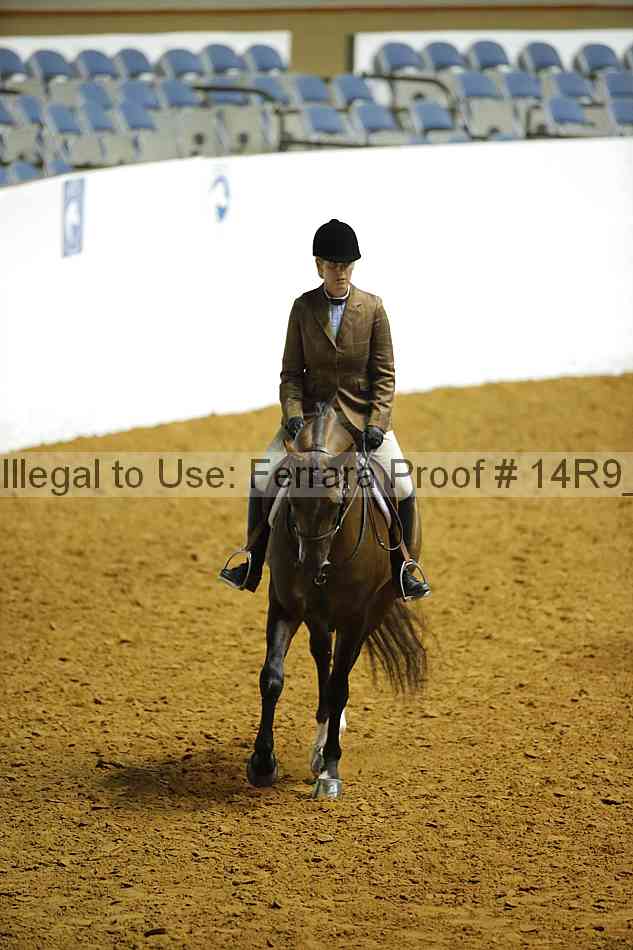 Proof Number 14r9_4533