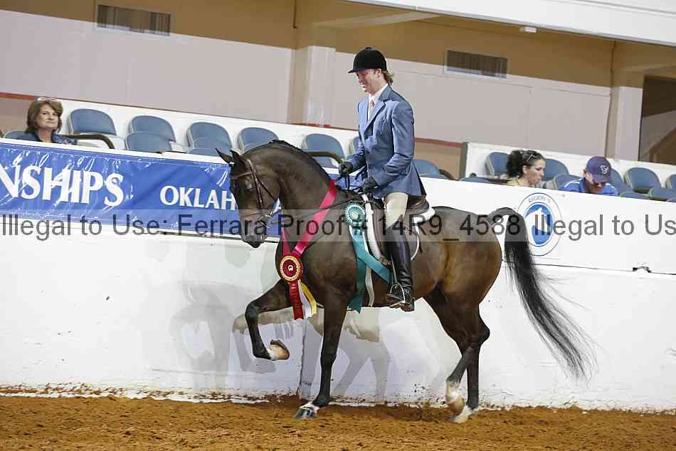 Proof Number 14r9_4588