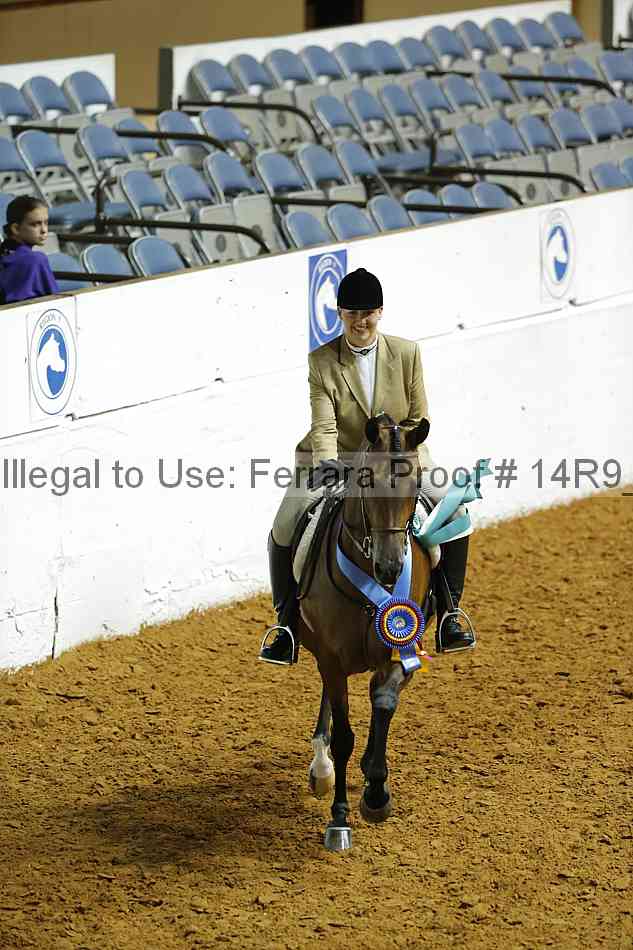 Proof Number 14r9_4599