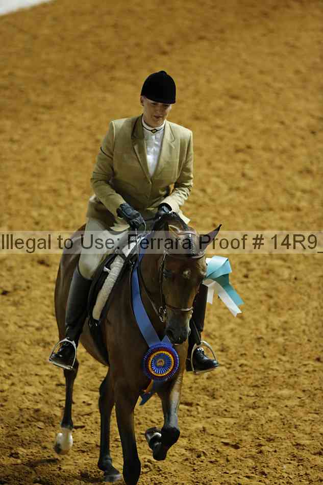 Proof Number 14r9_4601