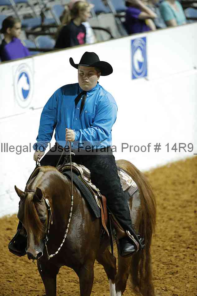 Proof Number 14r9_4639