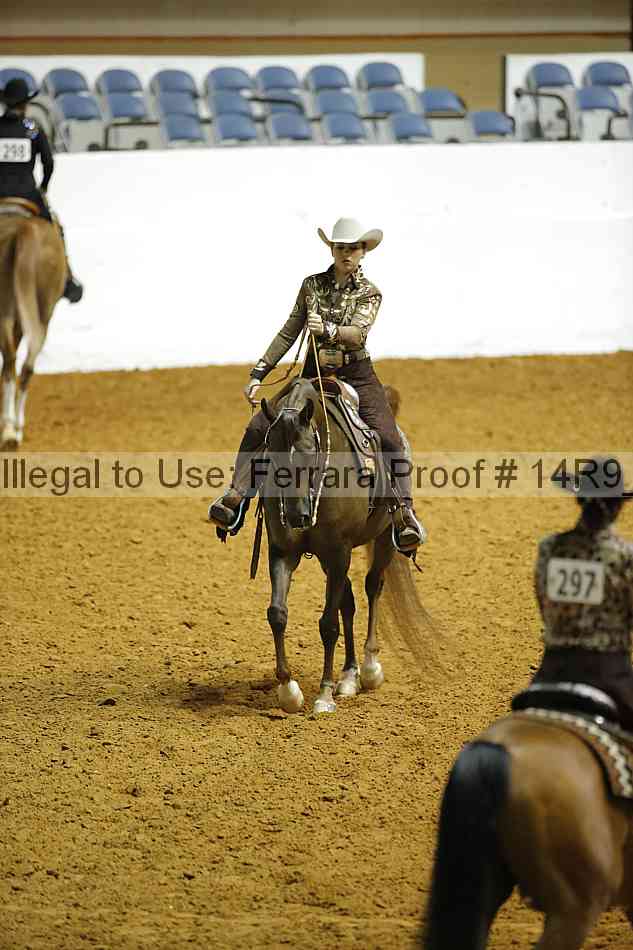 Proof Number 14r9_4642