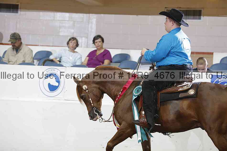 Proof Number 14r9_4676