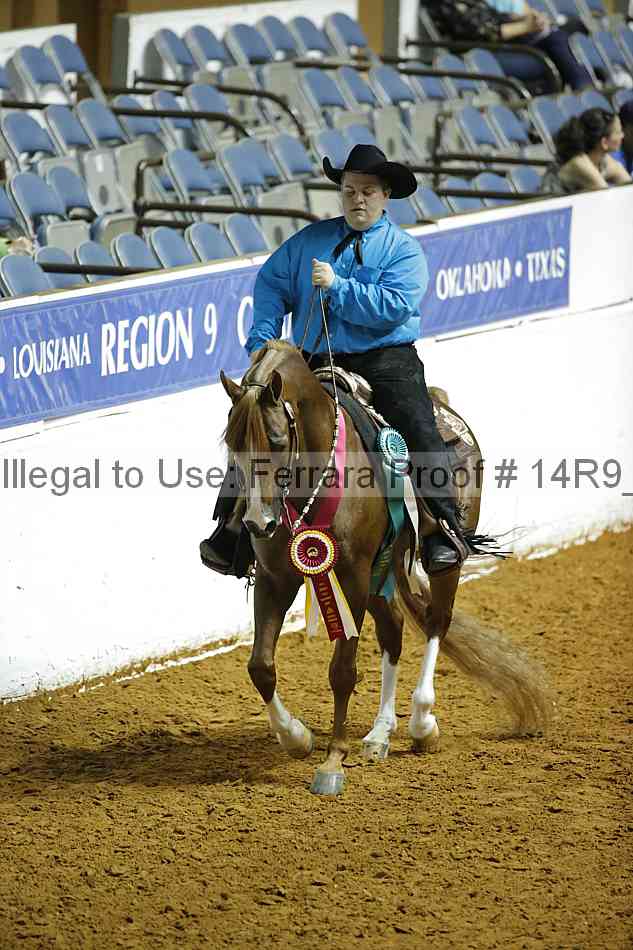 Proof Number 14r9_4677