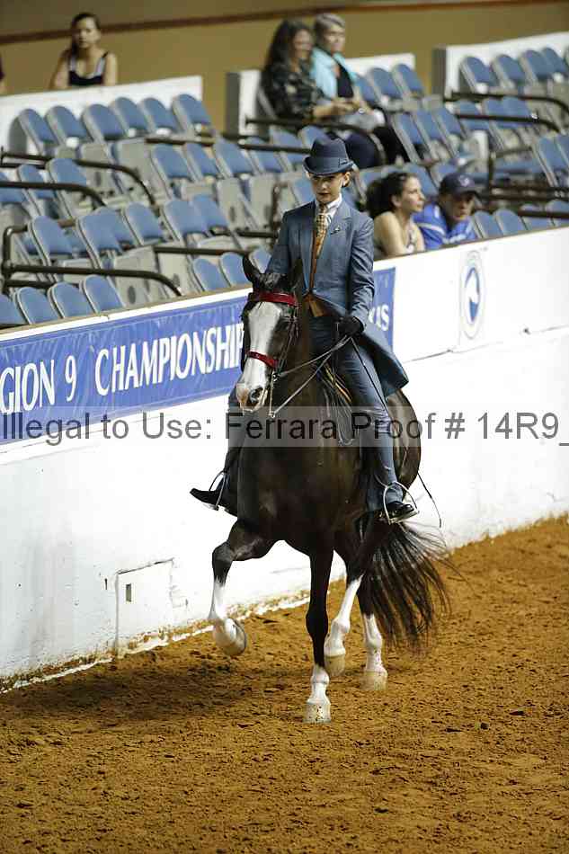 Proof Number 14r9_4694