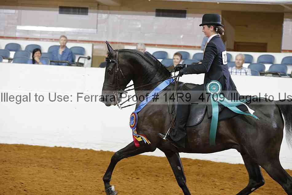 Proof Number 14r9_4709