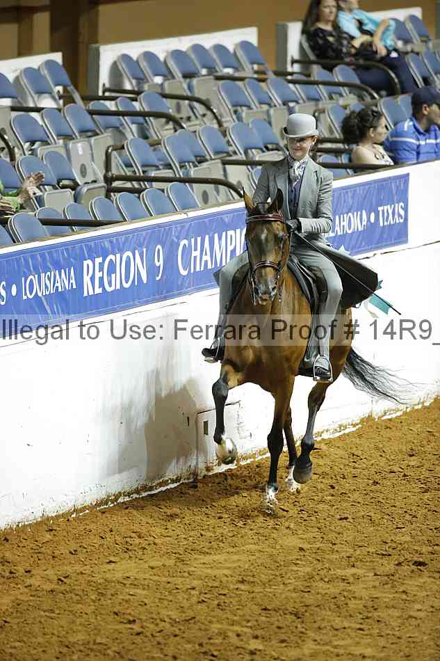 Proof Number 14r9_4719