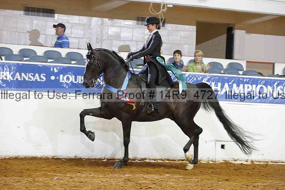 Proof Number 14r9_4727