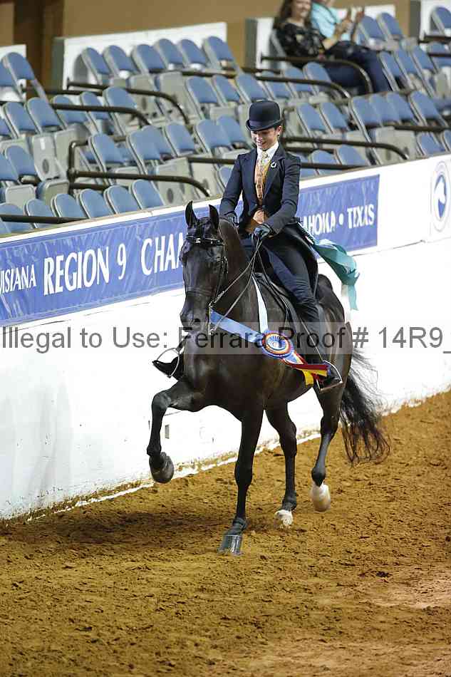 Proof Number 14r9_4729
