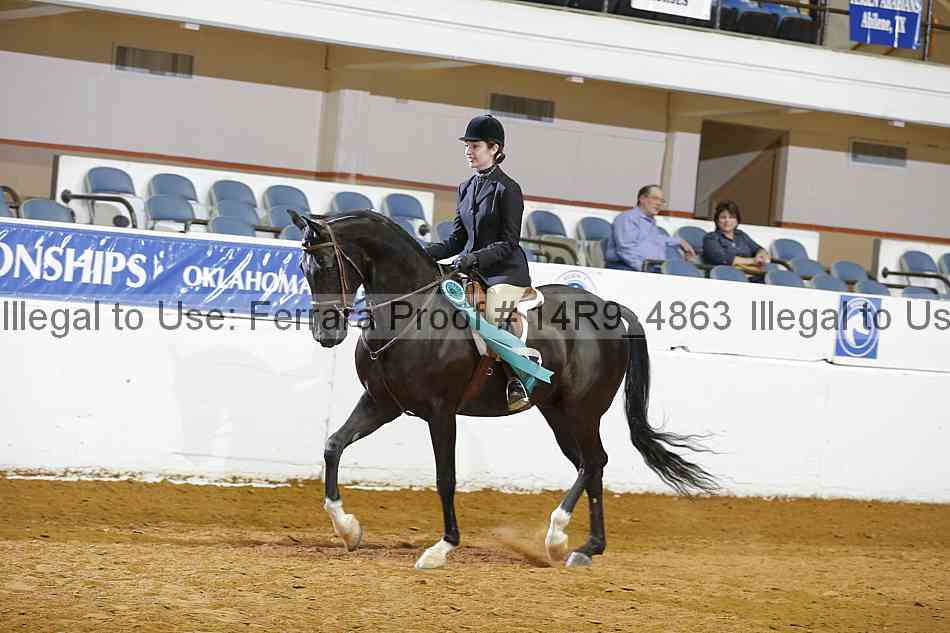 Proof Number 14r9_4863