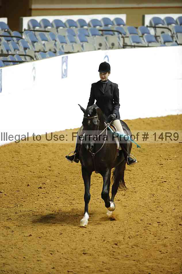 Proof Number 14r9_4865
