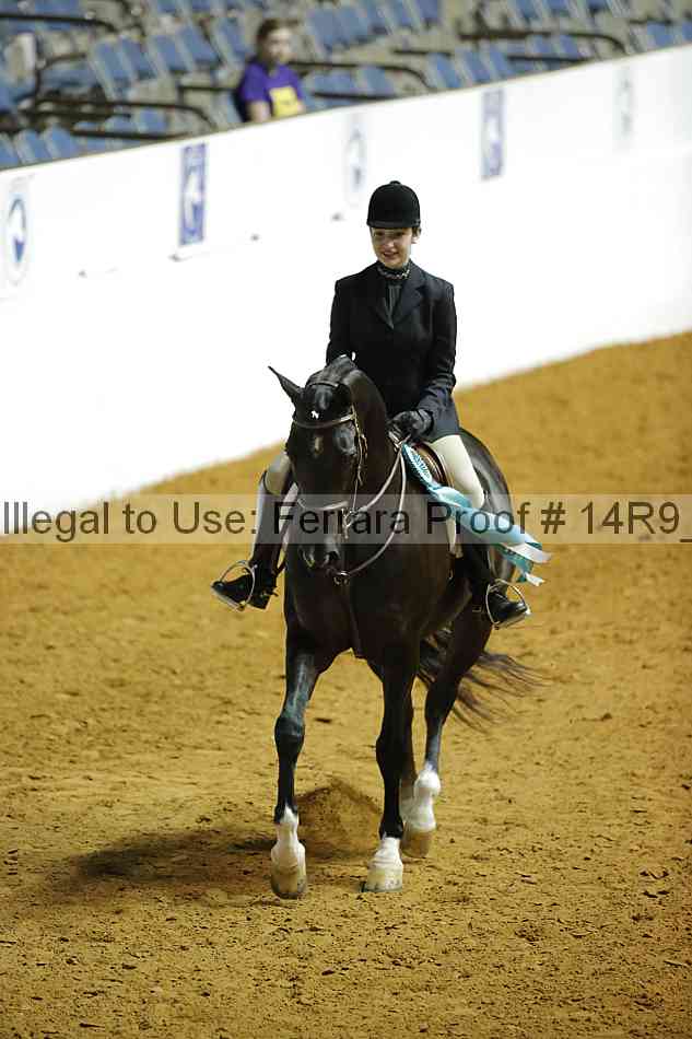 Proof Number 14r9_4866